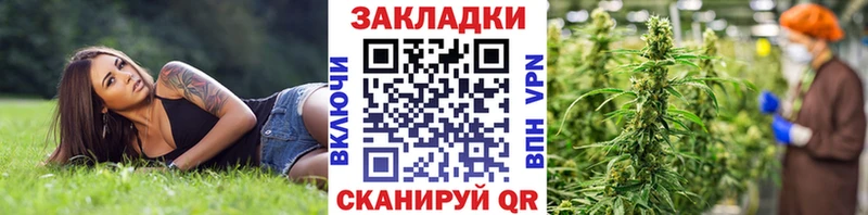 Купить наркотики цена Королёв Гашиш  Cocaine  Мефедрон  Alpha PVP  omg ССЫЛКА  Конопля 