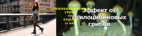 ешки Вязьма