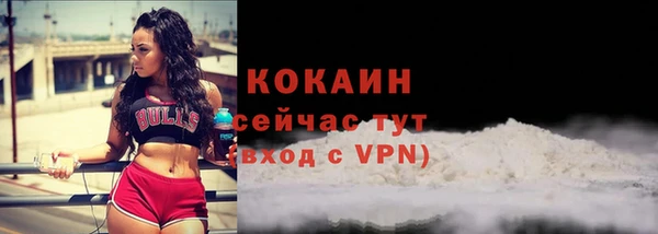 шишки Ступино