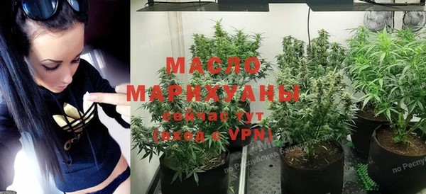 стаф Дегтярск