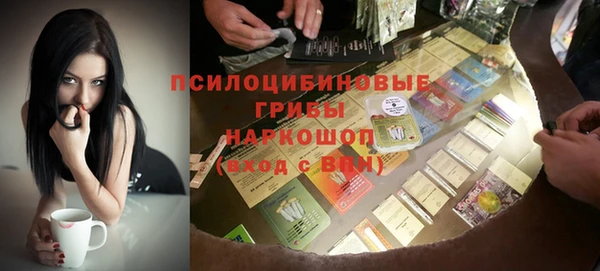 шишки Ступино