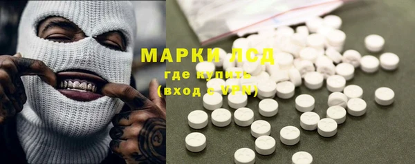 ПСИЛОЦИБИНОВЫЕ ГРИБЫ Струнино