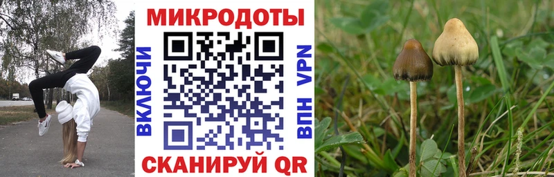 Галлюциногенные грибы мухоморы  Королёв 